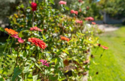 Blooming Memories - Foto 10