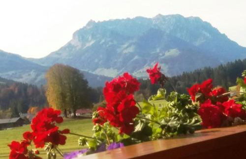 Haus Wiesenblick - Foto 2