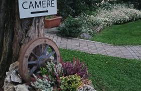 Fior di Pesco - Foto 7