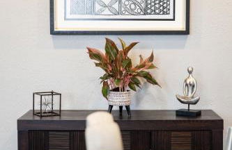 Beautiful Texas Medical Center - Museum District - Foto 40