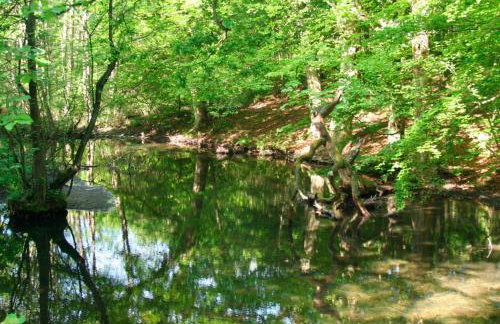 Ferienhaus Krakower See - Foto 13