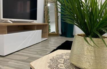 Colmar,appart chaleureux 2 pas centre avec jardin - Foto 21