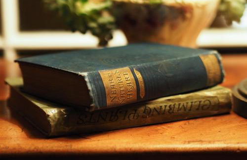 No.33 Coach House - Foto 50