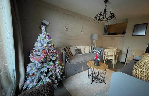 Appartement 35 m2 4p proche des pistes de ski la foux d Allos Avec piscine chauffée saison été et wifi - Foto 6