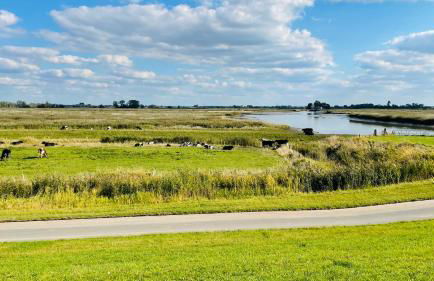 Kleine Burg Ovelgönne - Foto 41