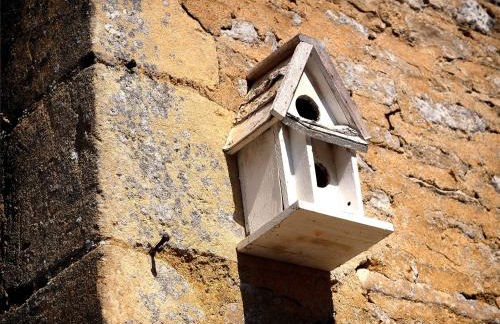 Chateau Le Colombier - Photo 17