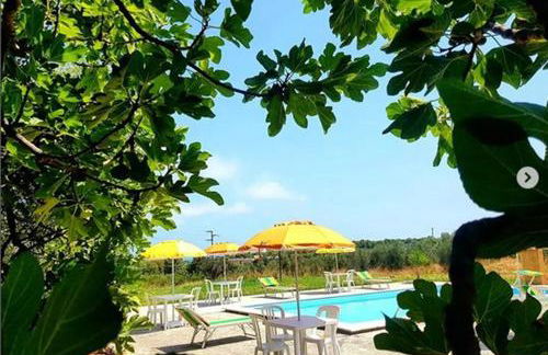 Dal Cavallaro - Foto 5