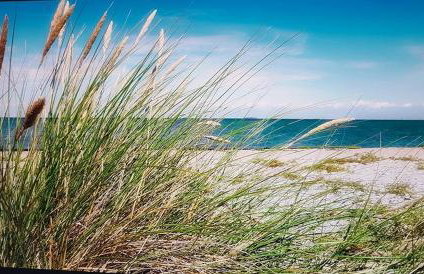 Harbour View - Foto 9