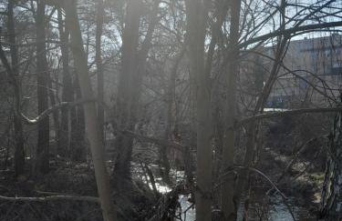 Na Starówce - Foto 17