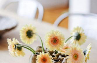 Große City-Wohnung, salt apartments Weissenfels - Foto 9