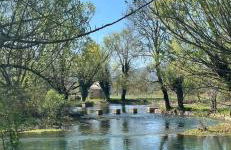 Apartment Tanja - Foto 46