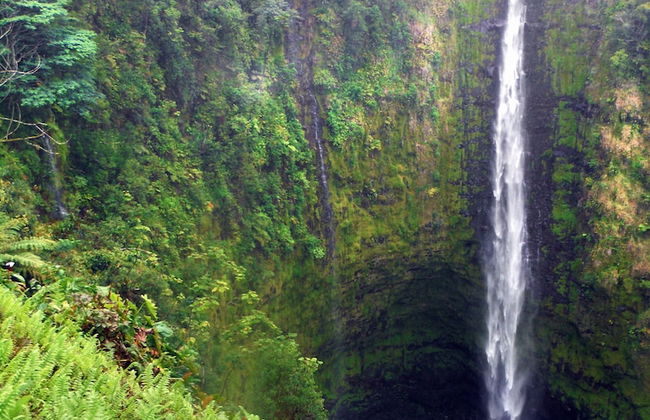 Hale Ola Aina 2 Bedroom Home by RedAwning - Photo 15