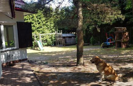 Pluski 10 osobowy Dom PROJEKT PLUSKI nad Jeziorem Pluszne - Foto 9