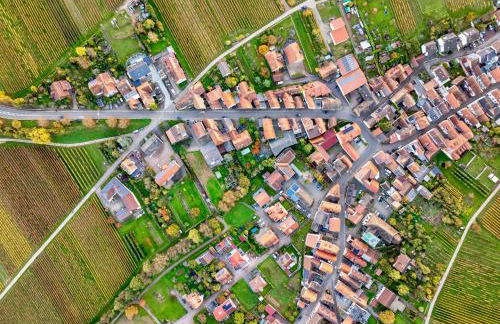 Das Winzereck - 4 Sterne Ferienhaus in der Südpfalz - Foto 25
