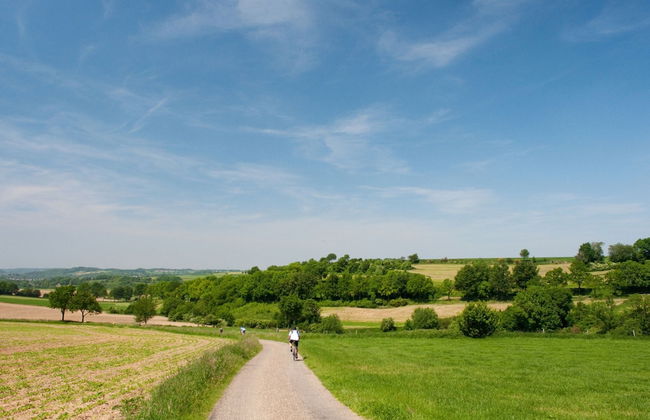 Charming Retreat for Your Escape - Photo 41