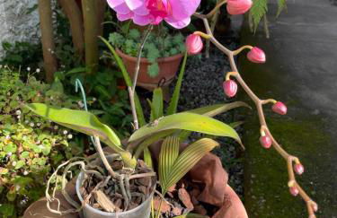 Guarda Flats - Photo 9