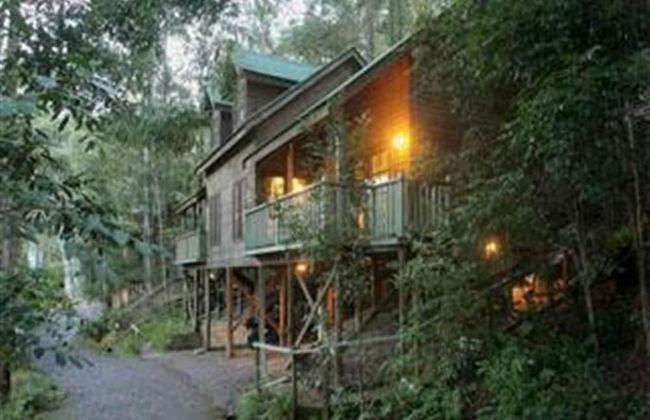 Barrington Wilderness Cedar Lodge Accommodation - Foto 17