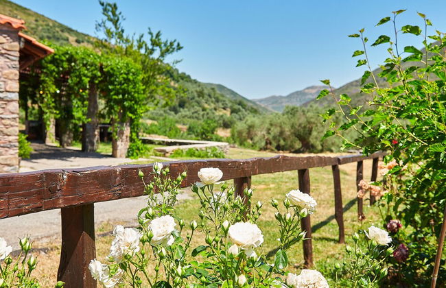 Authentic Cottage - Foto 40