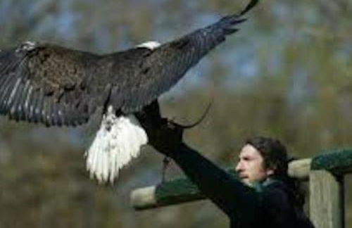 Gîte de l'Alisier - Rambouillet - - Foto 25