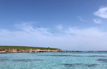 Ale house experience - Foto 49