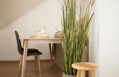 Quinta de São Pedro - Foto 51