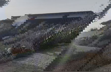 Il nuraghe - Foto 40