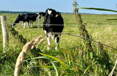 Landleeven No11 - Foto 1