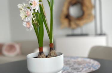 Picasso City Centre 1E - Foto 21