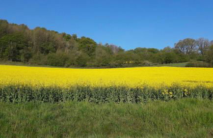 Willkommen im Kalletal - Photo 19