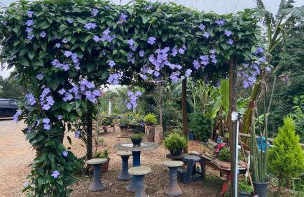 Chácara Recanto da Paz - Photo 10