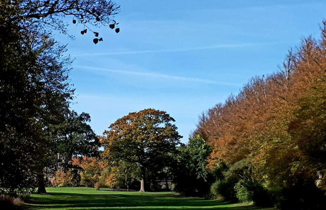 5 Person Holiday Home in Rude-by Traum - Foto 7