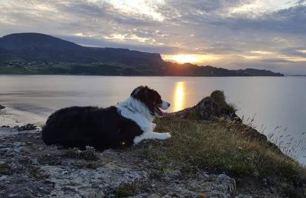 Quaraing House - Photo 13