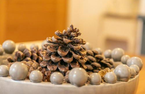 Pinecones - Foto 6