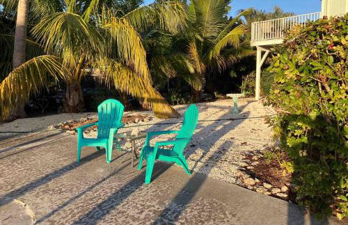 Franzone Fun - Foto 30