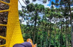 Cambará Ecomoradas - Foto 46