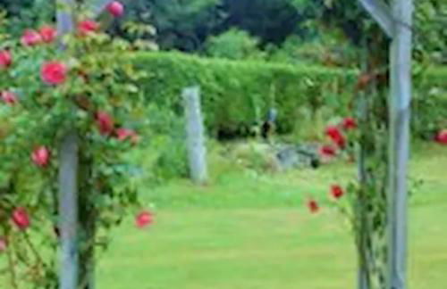 Home Comforts in Peaceful 2 Acres - Photo 56