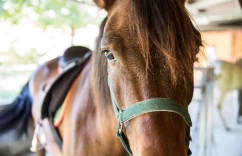 Casa da Feira - Foto 45