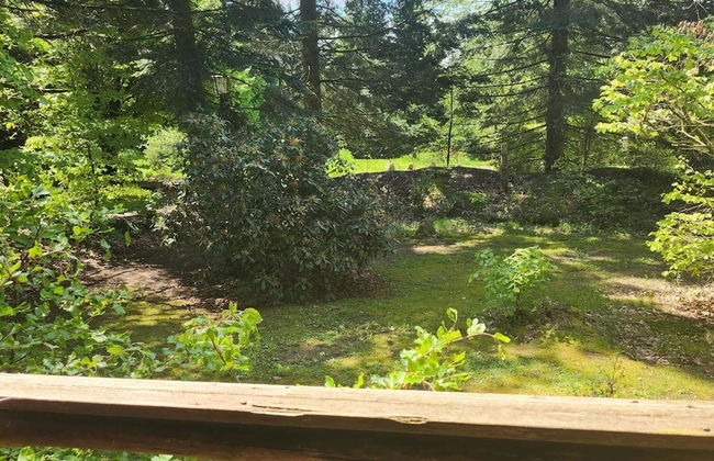 Tidy Furnished Wooden Chalet near Forest - Foto 15