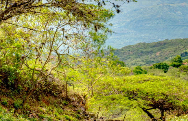 Hiking Tour: Camino Real to Guane - Foto 1