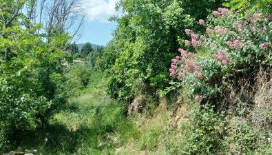 La bergerie d'Annie - Foto 4