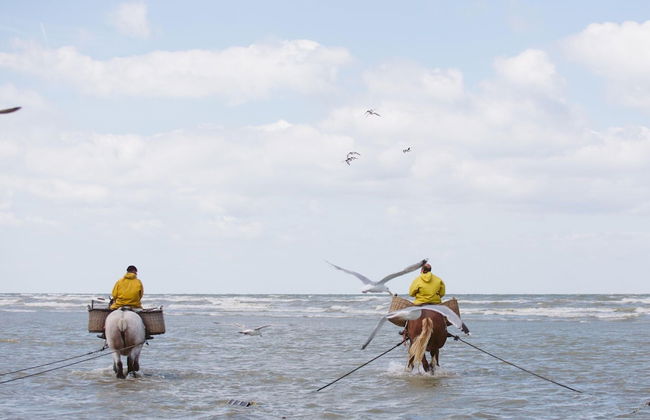 Orangerie 202 Close to the Beach and Center - Photo 27