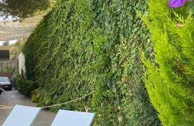 La Paratá Suites Mojácar - Foto 60