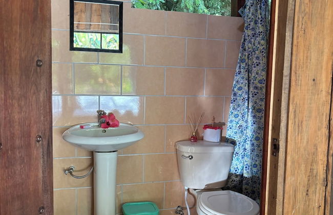 Citronela Lodge Corcovado - Foto 14