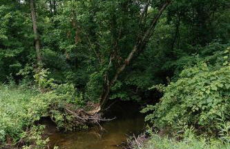 "Deer Creek Lodge" - Secluded Bourbon Trail Stay - Foto 40