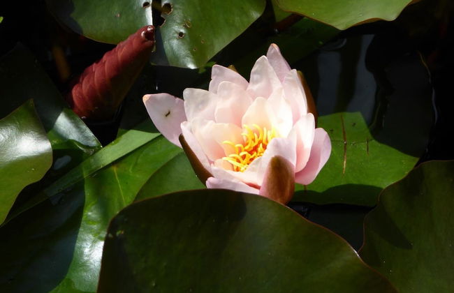 Landhaus Fischer - Foto 30