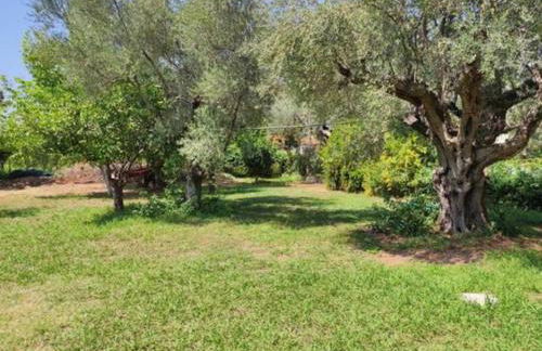 Greek village life by the sea - Foto 7