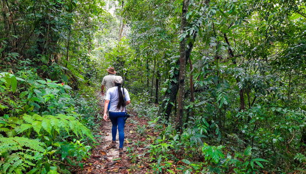Walking the trails in search of native birds