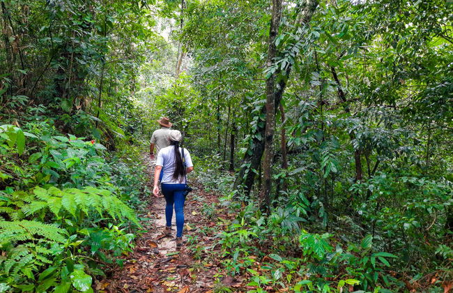 Birdwatching in Villavicencio - Photo 3