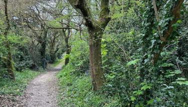 Duplex Parapluies de Cherbourg Netflix Parking - Foto 4