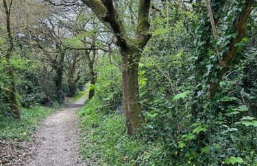 Studio Bois flotté Cherbourg Netflix Parking - Photo 9